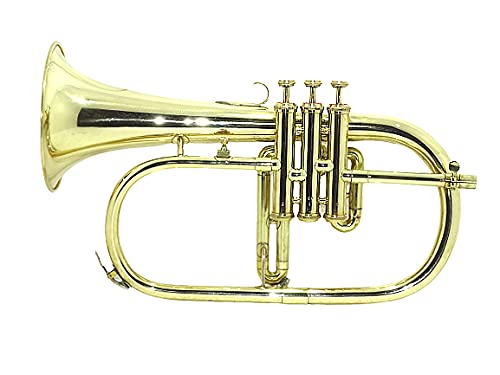 Shreyas Brass Finish Flugle Horn 3 Valve Scx324 Flugelhorn Brass Fluglehorn #TOP6