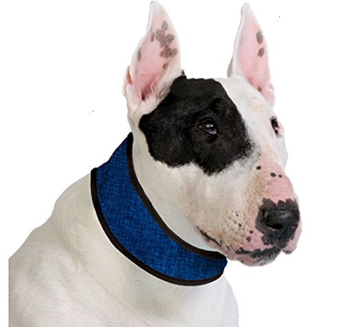 Aqua Coolkeeper Pacific Hundehalsband mit Frischefunktion, blau