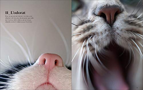 Encyclopédie du Savoir Relatif et Absolu des Chats...