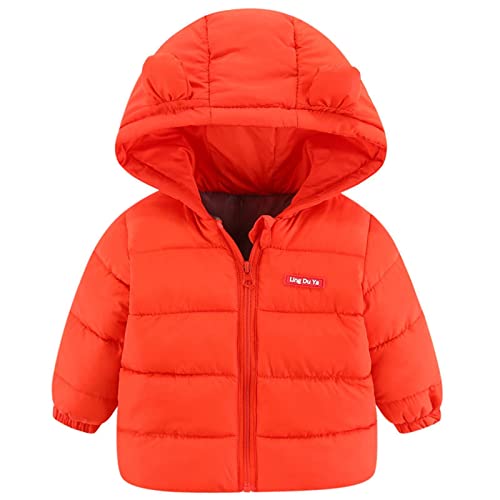 Winter Coats for Toddler Kids Boys Girls Padded Light Puffer Jacket Outerwear Infant Down Jacket with Hoods