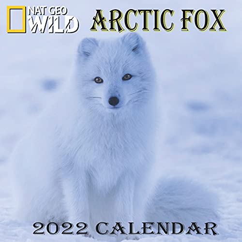 ARCTIC FOX CALENDAR 2022: ARCTIC FOX calendar 2022 