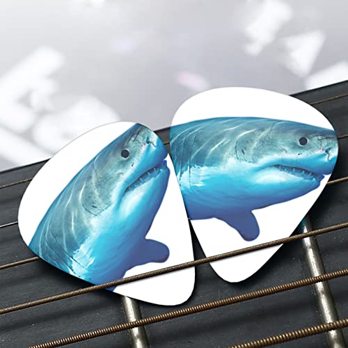 Pack de 12 médiators de guitare grand requin blanc pour guitare électrique guitare acoustique diverses guitares - Les Beatles, Paul McCartney, John Lennon, RIngo Starr, George Harrison Pack de 12 médiators de guitare grand requin blanc pour guitare électrique guitare acoustique diverses guitares – Image 7