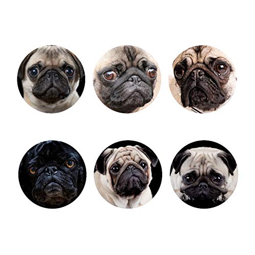 doginthehole Pug Printed Coasters for Drinks Cups Mat Heat Resistant Coaster Set 6 Pcs Eco-friendly Absorbent Home Decor Table Placemat