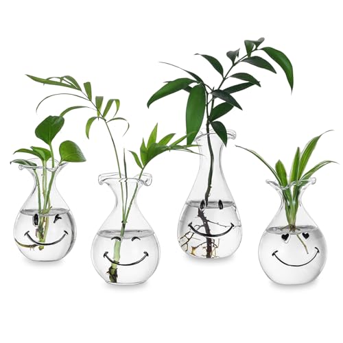 Hewory Smiley Face Glass Planter: 4 PCS Cute Propagation Stations