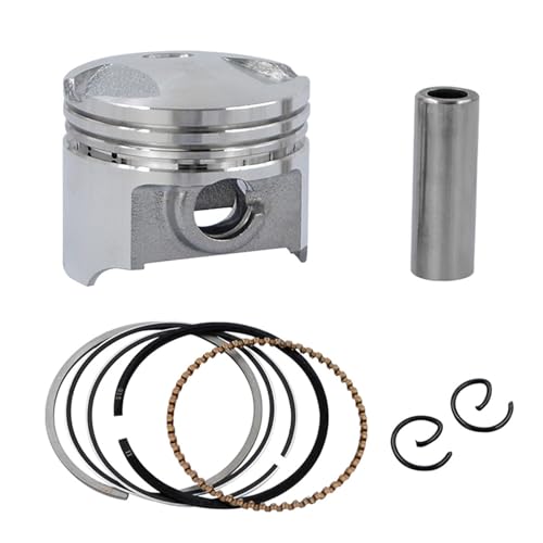 FGTMVGAZW �I�[�g�o�C�p�G���W���s�X�g�������O�L�b�g �T�C�Y38mm�`39mm �ɓK������ DIO50 Z4 AF54 AF55 AF56 AF57 AF58 AF61 AF62 ���b�J�X NPS50 CHF50