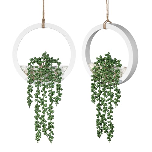 LUWENER Lot de 2 plantes succulentes artificielles à suspendre avec cadre blanc 31 cm