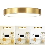 SOTTAE 9 Inch Brushed Gold Metal Flush Mount LED Ceiling Light, 3000K-5000K Thin Round Low Profile Ceiling Lamp, Modern Dimmable Gold Ceiling Light Fixture for Bedroom Hallway Bathroom Kitchen