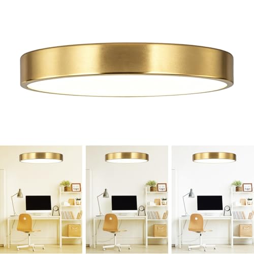 SOTTAE 9 Inch Brushed Gold Metal Flush Mount LED Ceiling