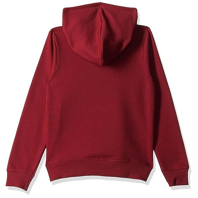 Image of Boy's Cotton Fleece Hooded Sweatshirt with Kangaroo Pocket