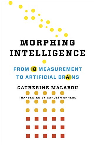 Morphing Intelligence view 2