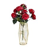 Perfektes Geschenk: Glasvase ist nicht nur ein Geschenk für Familie oder Freunde, sondern auch ein Geschenk für schöne Pflanzen. Weihnachten, Erntedankfest, Hochzeit, Einweihung, Urlaub, Muttertag, Geburtstag, Jubiläumsidee.