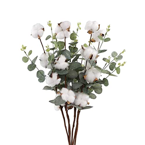 Cengnian 1Pcs Cotton Stems With Eucalyptus Leaves, Cotton Sprigs Blooms Dried Flowers 4 Cotton Heads Per Stem thumb #7