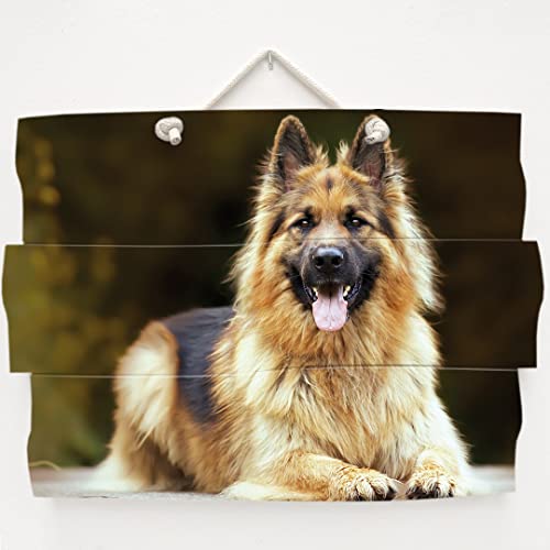 Wood Expression Cuadro Personalizado de tu Mascota en Madera Natural con Texto editable, Varios Modelos para Elegir (Sin Texto, 46x33 cm.) Cover