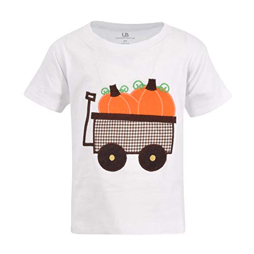 Image of Unique Baby Boys 2pc Shorts Set Outfit Short Sleeve Shirt with Embroidery Design and Shorts