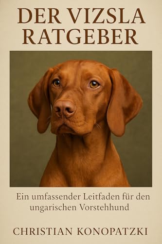Vizsla Ratgeber – Ein umfassender Leitfaden für den ungarischen Vorstehhund