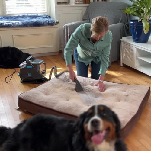 Livington SpotBlast - Waschsauger - Fleckenreiniger für Teppich, Sofa, Polster & Auto - Polsterreiniger mit 3in1 Bürste - Teppichreiniger