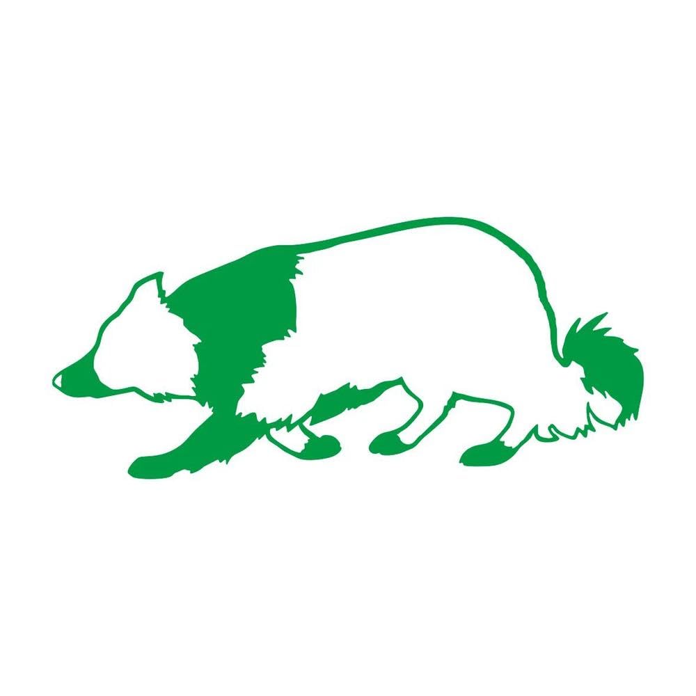 Border Collie Breed Sticker A Must Have Exterior Accessory for Dog Lovers(Green,20cm)
