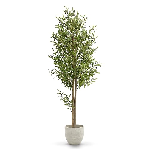 Maia Shop Olivo Artificial 180 cm - Arbol Mediterraneo Realista de Interior