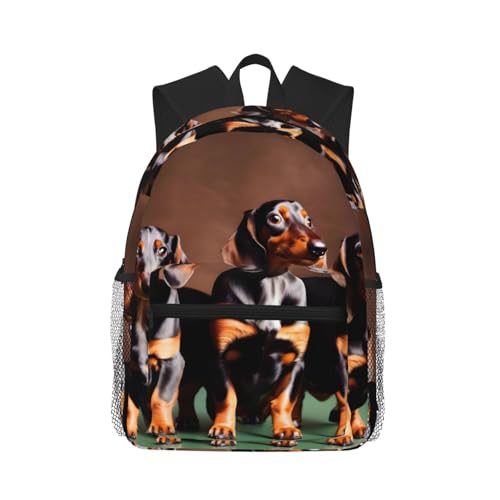 Sac à dos teckel ultra léger à compartiments multiples pour cours