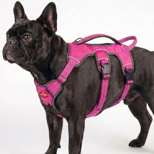 Image of Tuff Pupper Escape Proof No Escape Dog Harness | 5 Point Adjustable Fit Harness for Dogs | Padded Dog Harnesses | Handle Dog Lift Harnesses