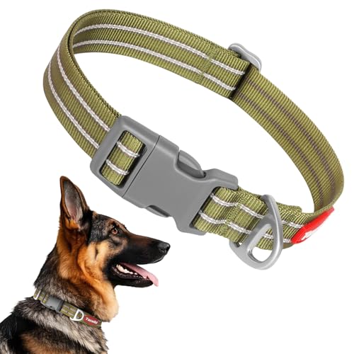 Collar Reflectante Ajustable para Perro Tamaño S Verde