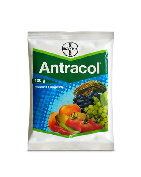 Antracol Fungicide 100gm x 1 Nos | Propineb 70% WP
