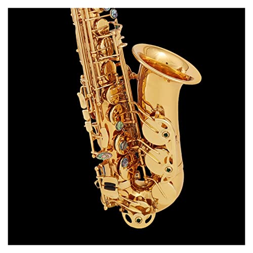 E-Flat Saxophone S҂Ƒl S҃TbNX(J[: 1)