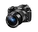 Sony RX10 IV with 0.03 second auto-focus & 25x optical zoom