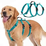 Ledeak Hundegeschirr Ausbruchsicher, Anti Zug...