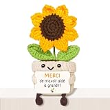 Giftasy Cadeau Maitresse D'école, Cadeau Merci Maitresse - Tournesol...