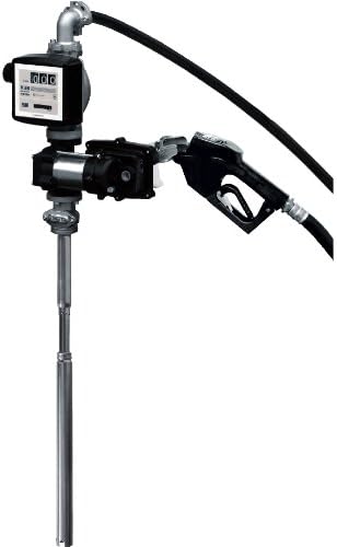 PIUSIUSA F00375500 EX50 12V Gasoline Pump, Auto Nozzle, K33 Meter