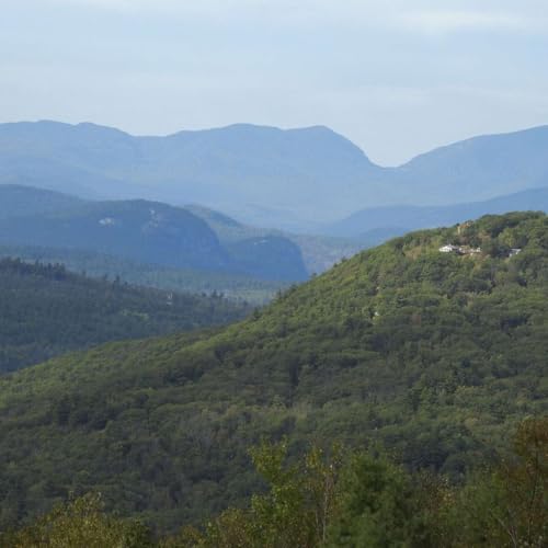 WELL ROUNDED Podcast Por  arte de portada