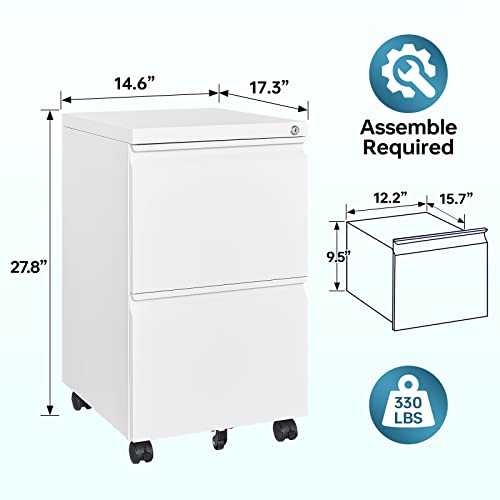 2 Drawer File Cabinet On Wheels, Home Office Mobile File Cabinet Under Desk With Lock, 2 Deep Large Drawers For Legal/Letter/A4 Files #TOP5