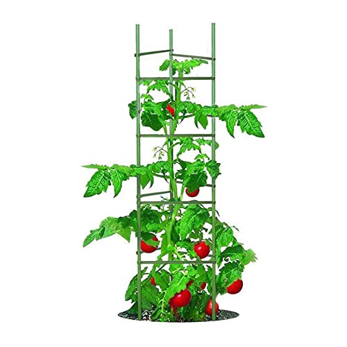 Support fraise Growsun protège vos fraisiers contre les limaces