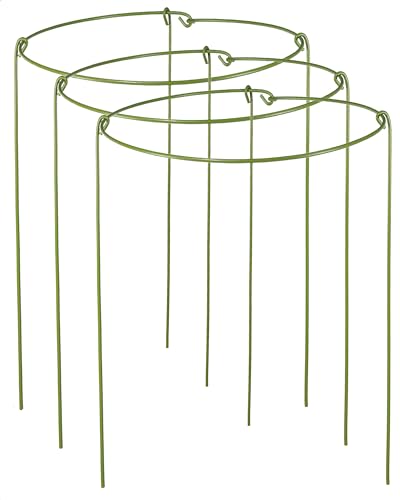 Yeoaum 3 Pack Plant Support Stakes cover