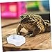 Yardwe 10Pcs Lizard Water Bowl Gecko Food Dish Durable Feeding Bowls for Reptiles for Turtles Lizards and More Inward Design Prevents Food Escape