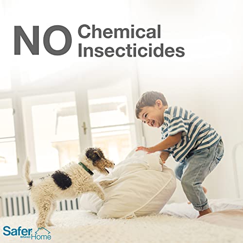 Safer Brand Safer Home Sh400 Indoor Spider, Ant, Cockroach, Centipede, And Crawling Insect 4 Traps, Blue #TOP3