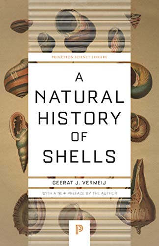 A Natural History of Shells (Princeton Science Library Book 123)