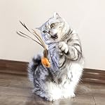 miwoowim Interactive Cat Wand Toy Set, 2 Telescopic Rods & 11 Attachments | Teaser refills for indoor cats,2 retractable fishing poles with worm,bird & feather toys replacement. Durable cat string toy - Image 6