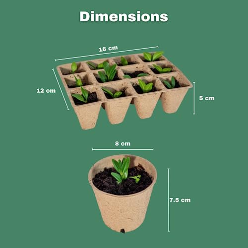 Seedling Starter Kit, reduces transplant root shock, with drainage holes & 100% recycled materials. Fully biodegradeable - Image 4