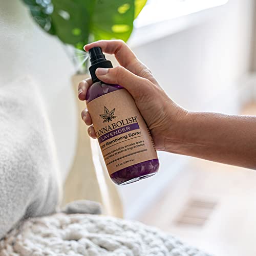 Cannabolish 223-AMZ Lavender Smoke Odor Eliminator Spray And Air Freshener thumb #2
