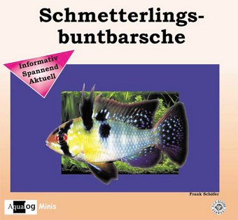Schmetterlingsbuntbarsche: Informativ, Spannend, Aktuell (Aqualog...