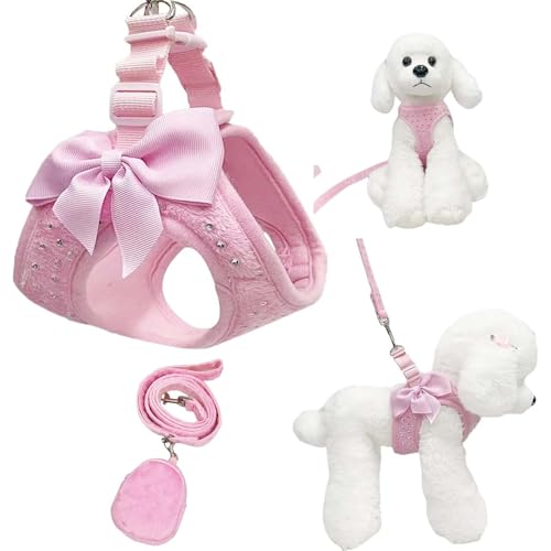 aichilra Pettorina Cane Taglia Piccola, Step in Diamond - Set di pettorina e guinzaglio per cani di piccola taglia, in morbida rete traspirante, leggera, per cani di piccola taglia e gatti