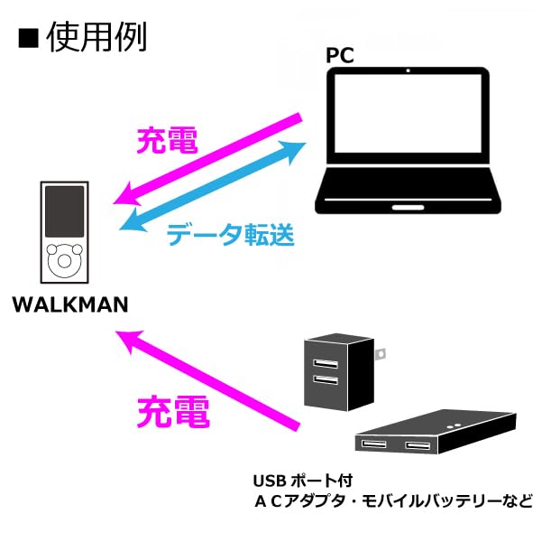 Amazon | ウォークマン 充電 転送対応 変換アダプタ Type-C メス WM
