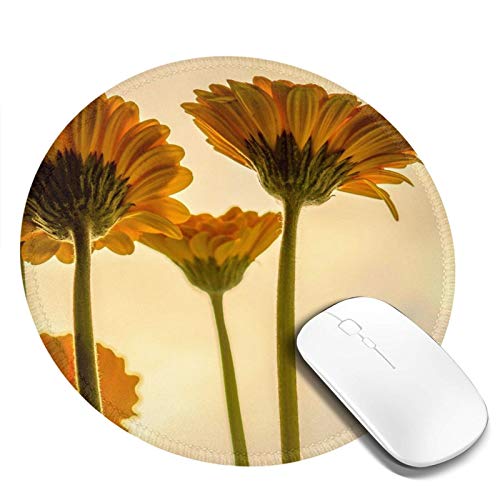 �}�E�X�p�b�h �ی^ �Ђ܂�� �� ������� �h�� ����~�� �S�������� �Q�[�~���O�}�E�X�p�b�h �m�[�g�p�\�R�� PC ���E���h�}�E�X�p�b�h �f�X�N�}�b�g �ϋv�����ǂ� �I�t�B�X�p �r�W�l�X�p �ƒ�p �Q�[���p �~�` 20cm