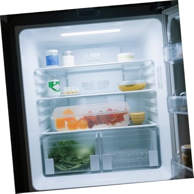 Stackable Keeping Storage Box with Lid for Scallions Cilantro Green Onions Space Saving Plastic Produce Organizer for Fridge and Kitchen Pantry