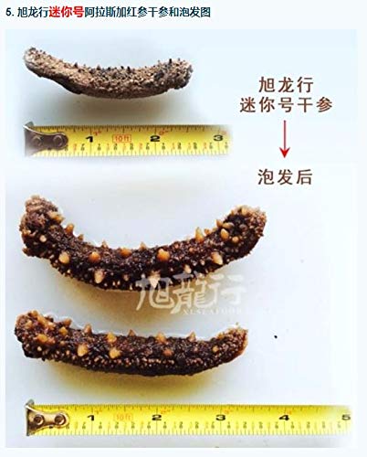 Xlseafood Grade Premium Sun Dried Alaska Sea Cucumber Size Mini 5 Year 22-30 Pcs Per Pack 0.5 Lb 旭龙行 淡干海参 阿拉斯加野生海参特级品 5年参龄 迷你号 0.5磅 23-35只/份 thumb #2