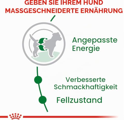 Royal Canin Mini Adult | 800 g | Trockennahrung für ausgewachsene kleine Hunde | Kann zur optimalen Versorgung Kleiner Hunderassen eingesetzt Werden | Mit EPA & DHA