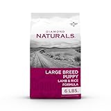 Diamond Naturals Large Breed Puppy Real Lamb Recipe Premium Dry Dog Food