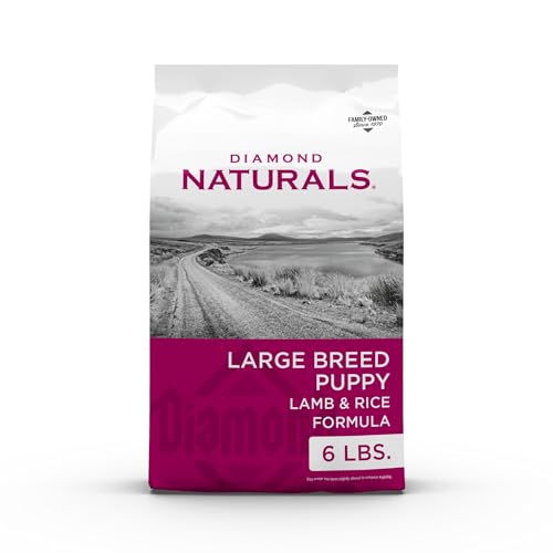 Diamond Naturals Large Breed Puppy Real Lamb Recipe Premium Dry Dog Food, 6 lb